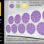 (10) P2500 Purple Microstar Spot Repair Discs | 7µ (10) P2500 Purple Microstar Spot Repair Discs | 7µ